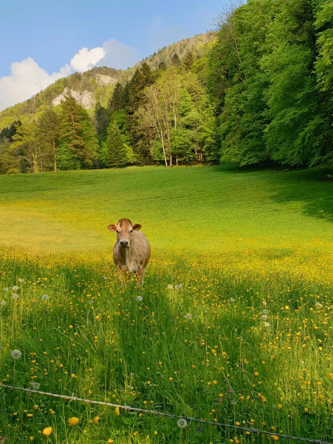 Agreable Chambre D'Hotes, Au Calme, Dans La Nature Roches Exterior foto